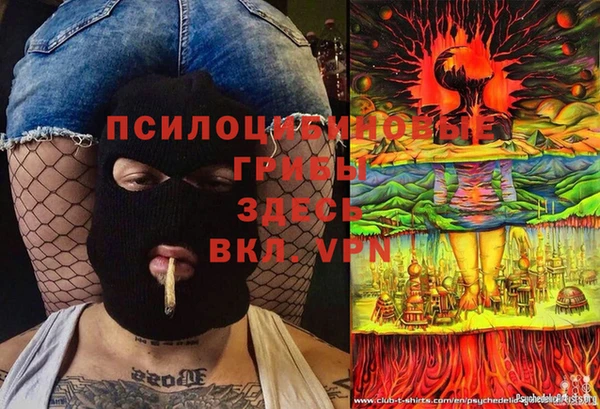 стаф Ладушкин
