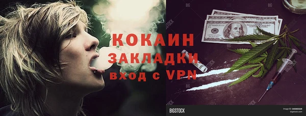 стаф Ладушкин