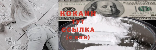 индика Лагань