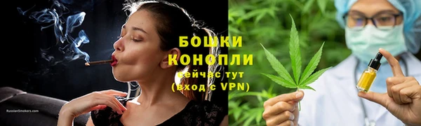 индика Лагань
