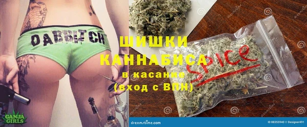 стаф Ладушкин