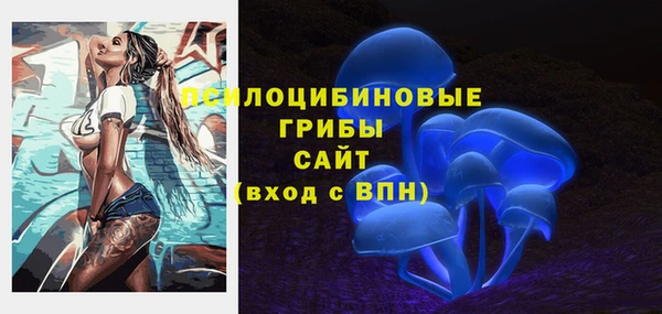 спайс Лабытнанги