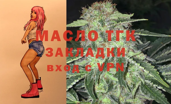 стаф Ладушкин