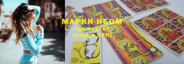 стаф Ладушкин