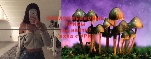 индика Лагань
