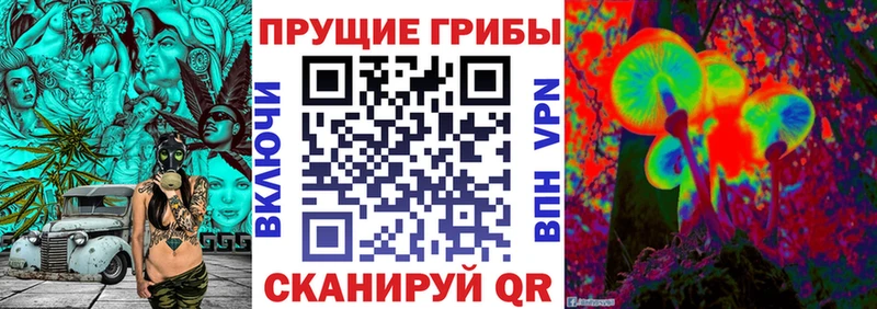 Купить закладки  Белоозёрский  Псилоцибиновые грибы GOLDEN TEACHER 